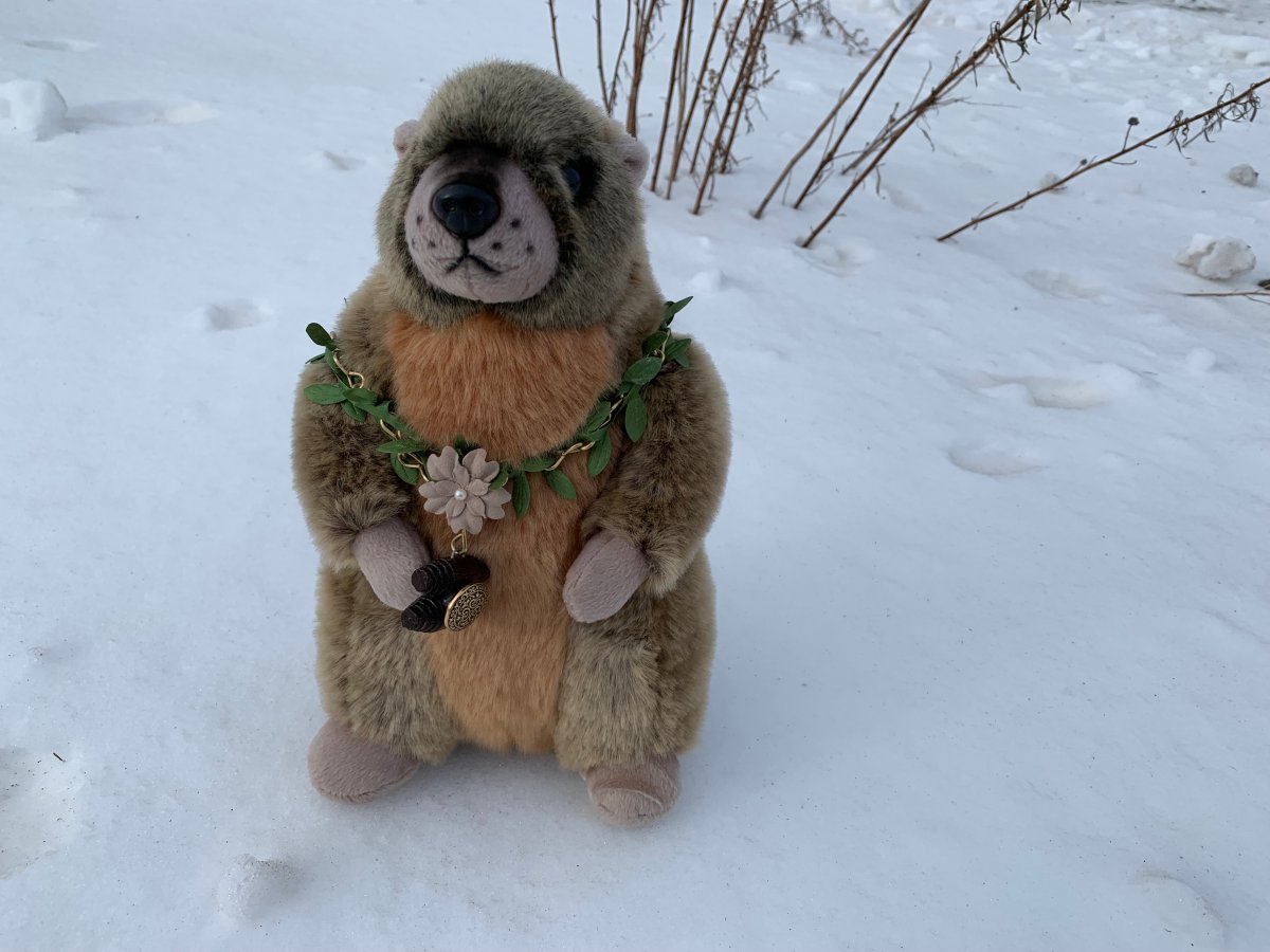 Okanagan stuffed toy animal Groundhog Day