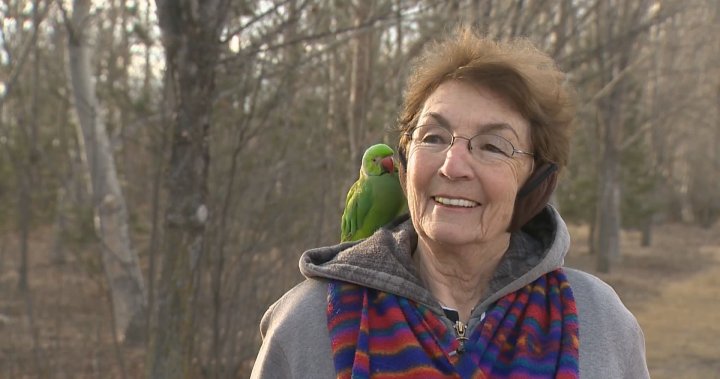 Calgary senior shares unexpected love story inolving parakeet on Valentine’s Day – Calgary