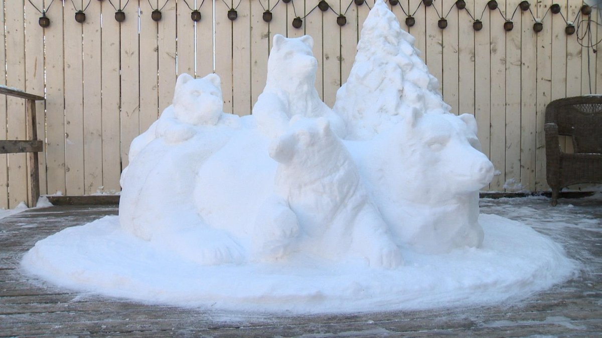 ‘I love polar bears’: Saskatoon sculptor uses deck as setting for polar bear sculpture - image