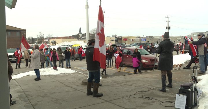Anti-mandate protest in Trenton, Ont. shows support for trucker convoy