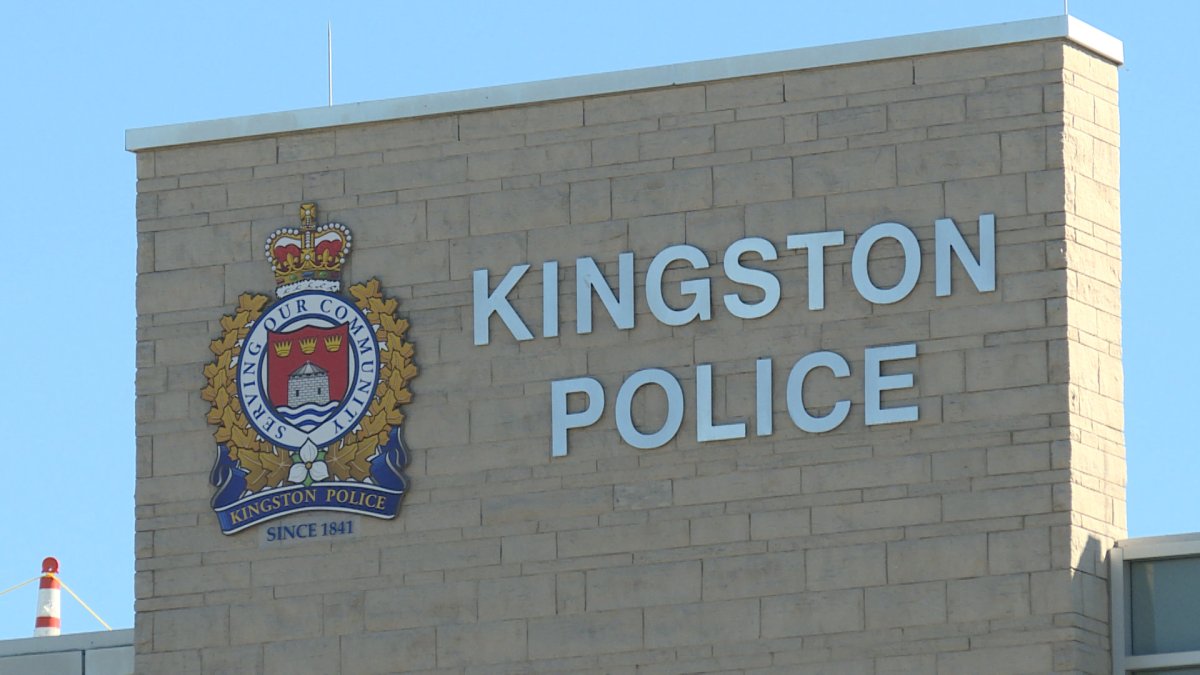 A man has been arrested after allegedly kicking and injuring his pet dog during a domestic dispute in downtown Kingston.