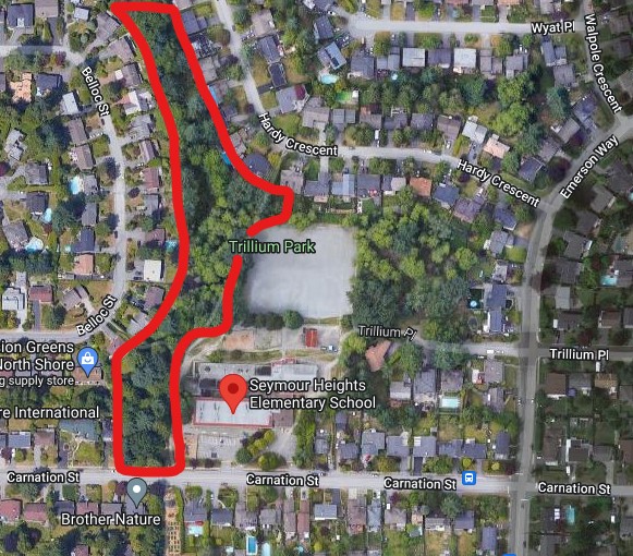 RCMP release sketch of North Vancouver sex assault suspect - image