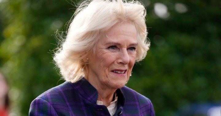 Camilla, Duchess of Cornwall, tests positive for COVID-19 days after Prince Charles