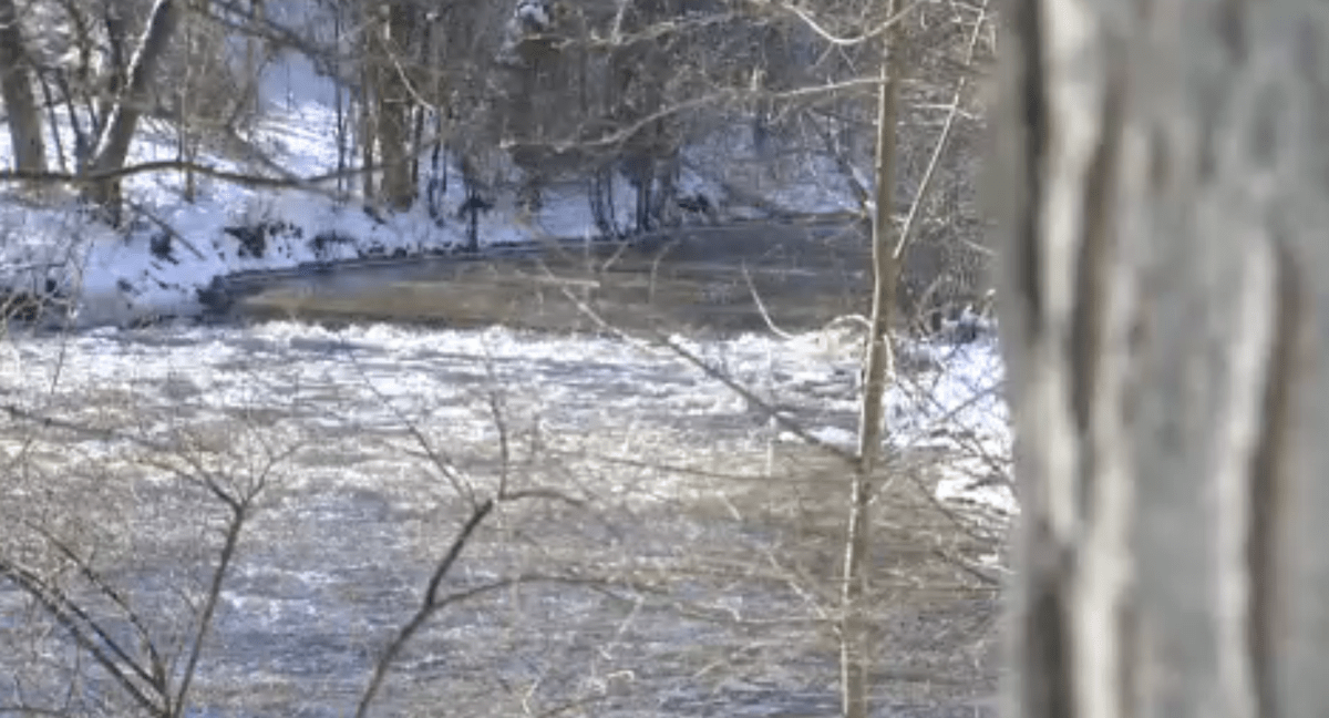 Cleanup underway after oil from Hydro One transmission station leaked into Don River - image