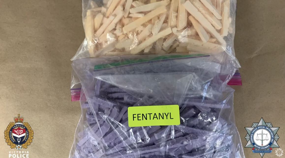 5 charged in largest fentanyl seizure in history of Buncombe Co.