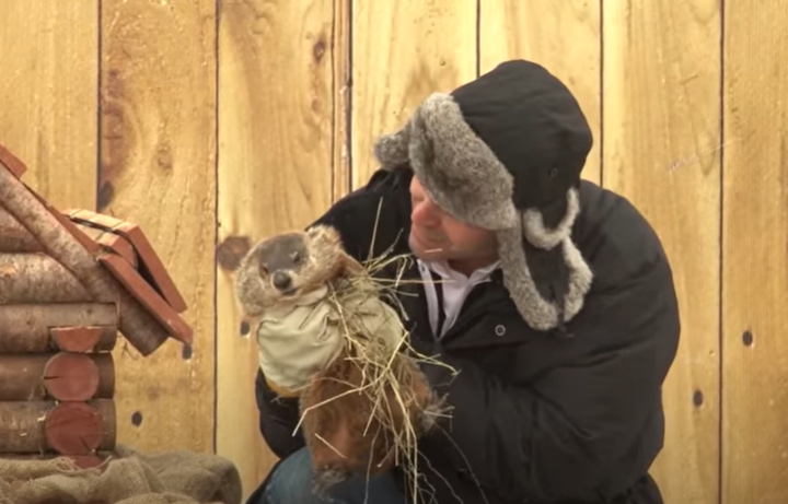 Groundhog Day: Quebec’s Fred la marmotte predicts 6 more weeks of winter