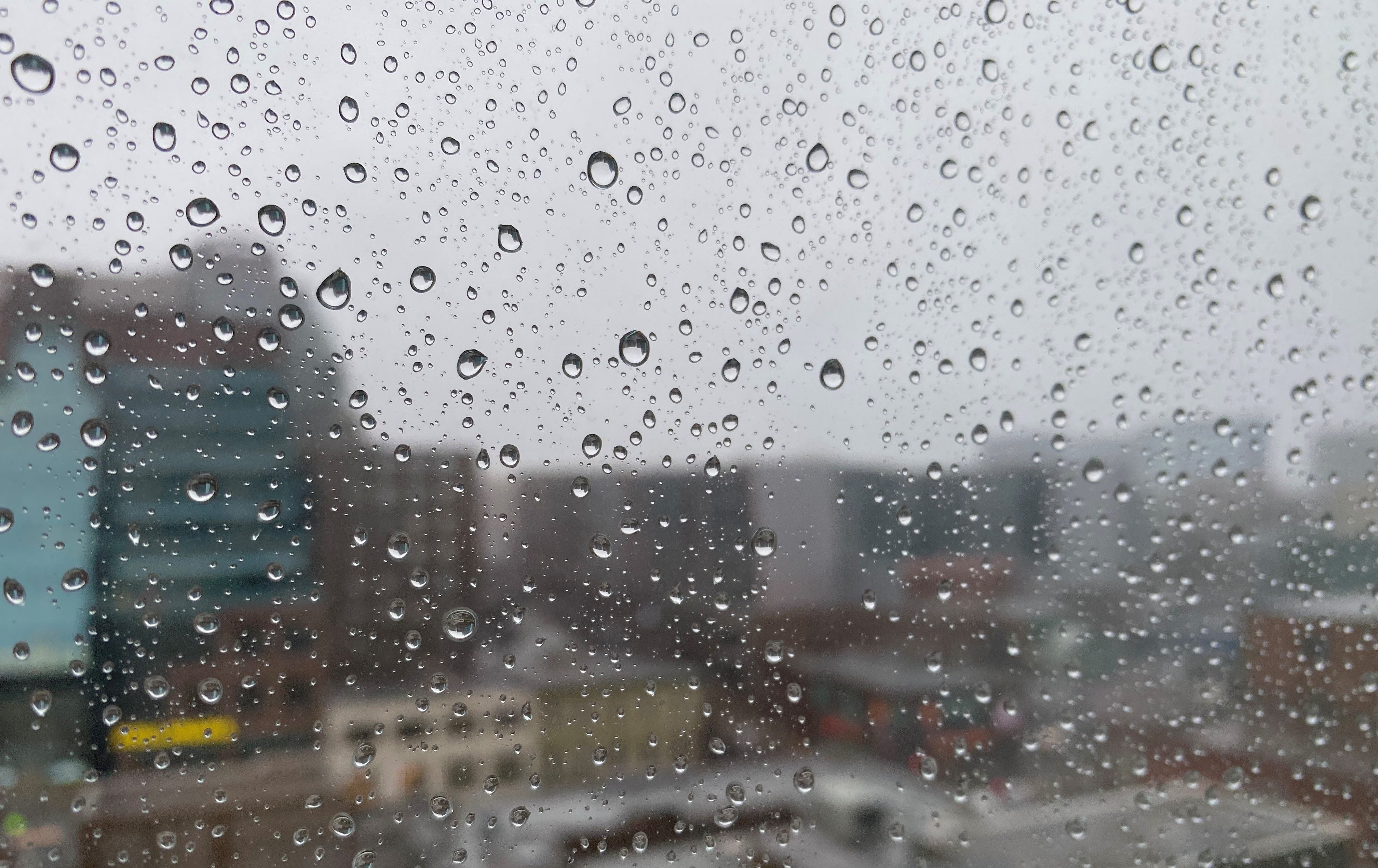 Flash flooding possible as heavy rain forecast to hit parts of N.S. and N.B. - Vimarsana News