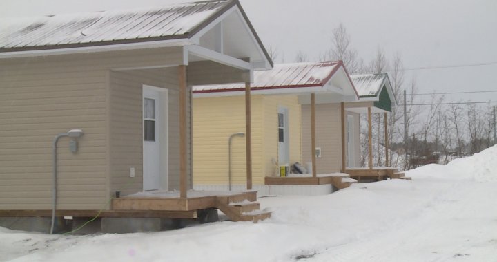 N.B. tiny home community settles its first residents – New Brunswick