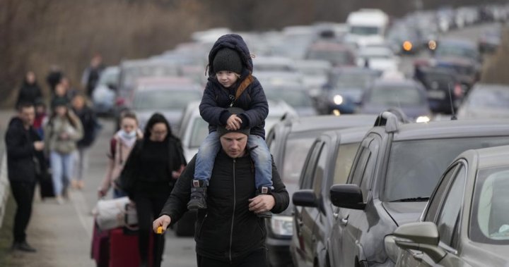 ‘Every morning we check to see if our family is living’: woman with family trying to flee Ukraine