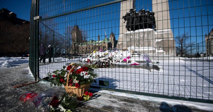 Convoy protesters tear down fence protecting National War Memorial