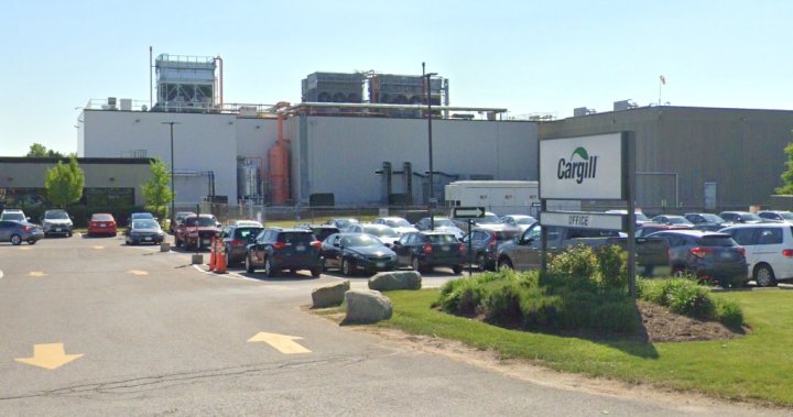 Strike averted at London, Ont. Cargill plant as workers ratify new 4-year deal: UFCW