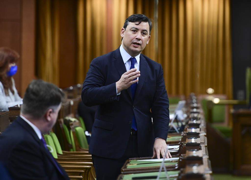 Conservative MP Michael Chong rises during question period in the House of Commons on Parliament Hill in Ottawa on Friday, March 26, 2021. THE CANADIAN PRESS/Sean Kilpatrick.