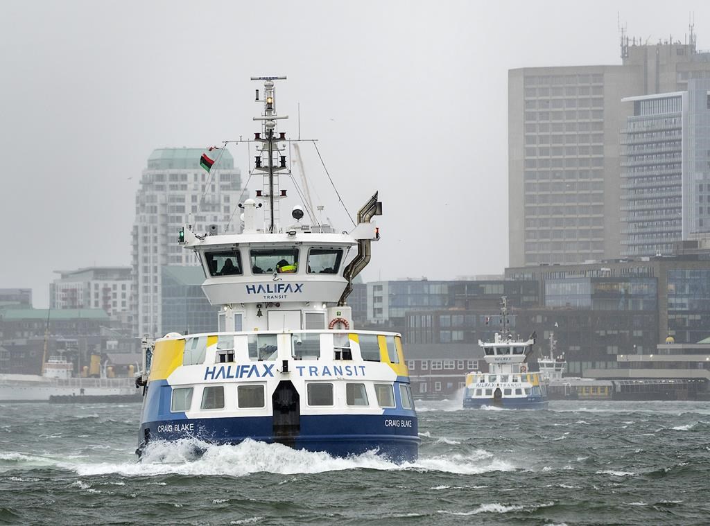 Man falls off Halifax ferry, taken to hospital: police