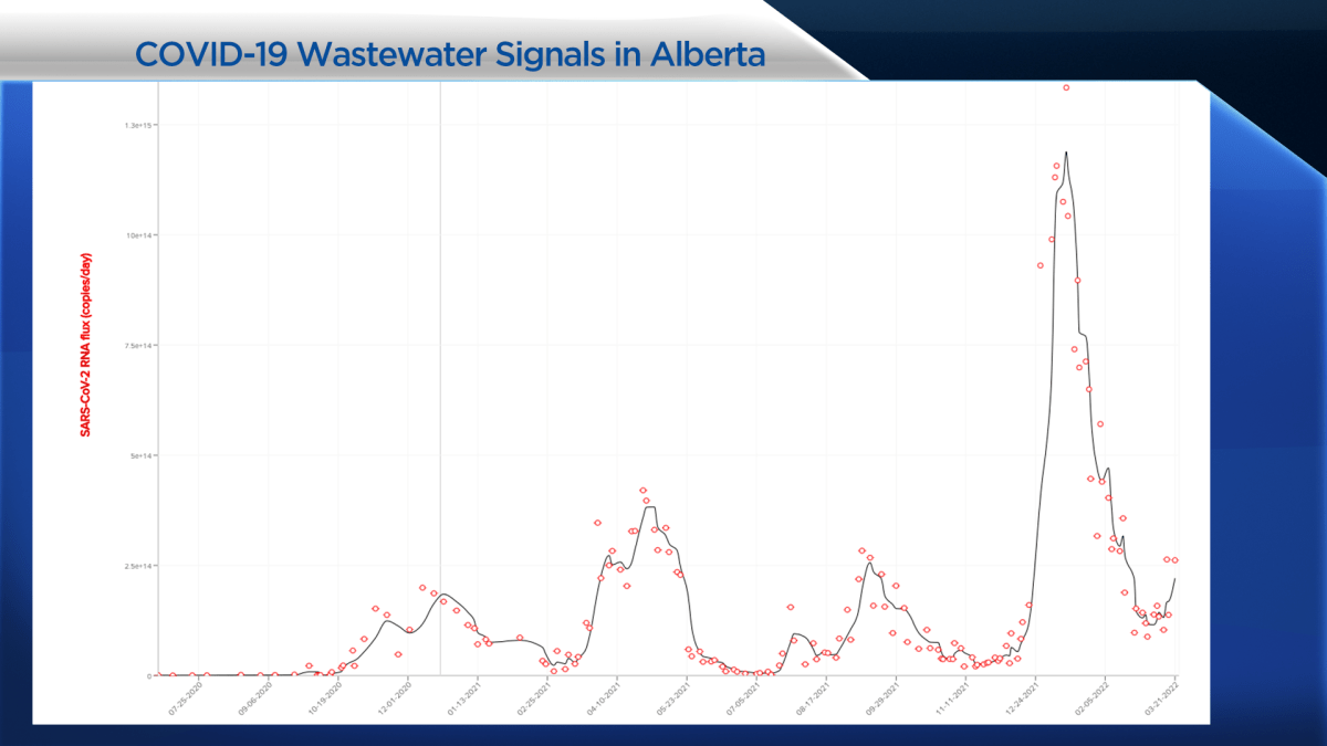 All of Calgary and the surrounding area