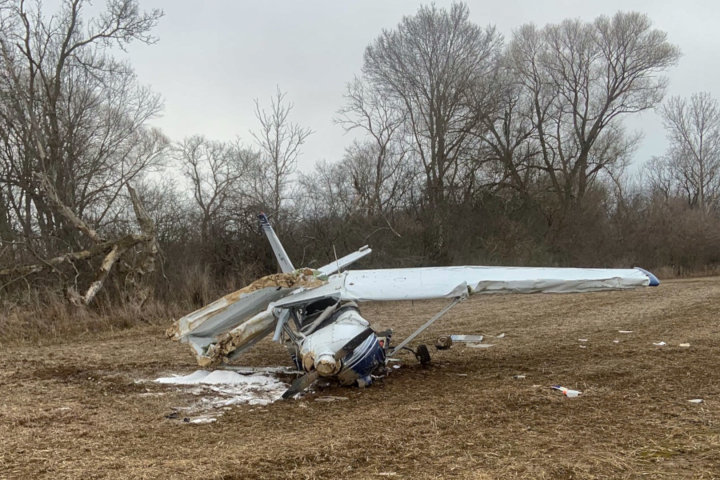 TSB investigation says plane hit tree prior to fatal crash near Brantford, Ont. airport in March