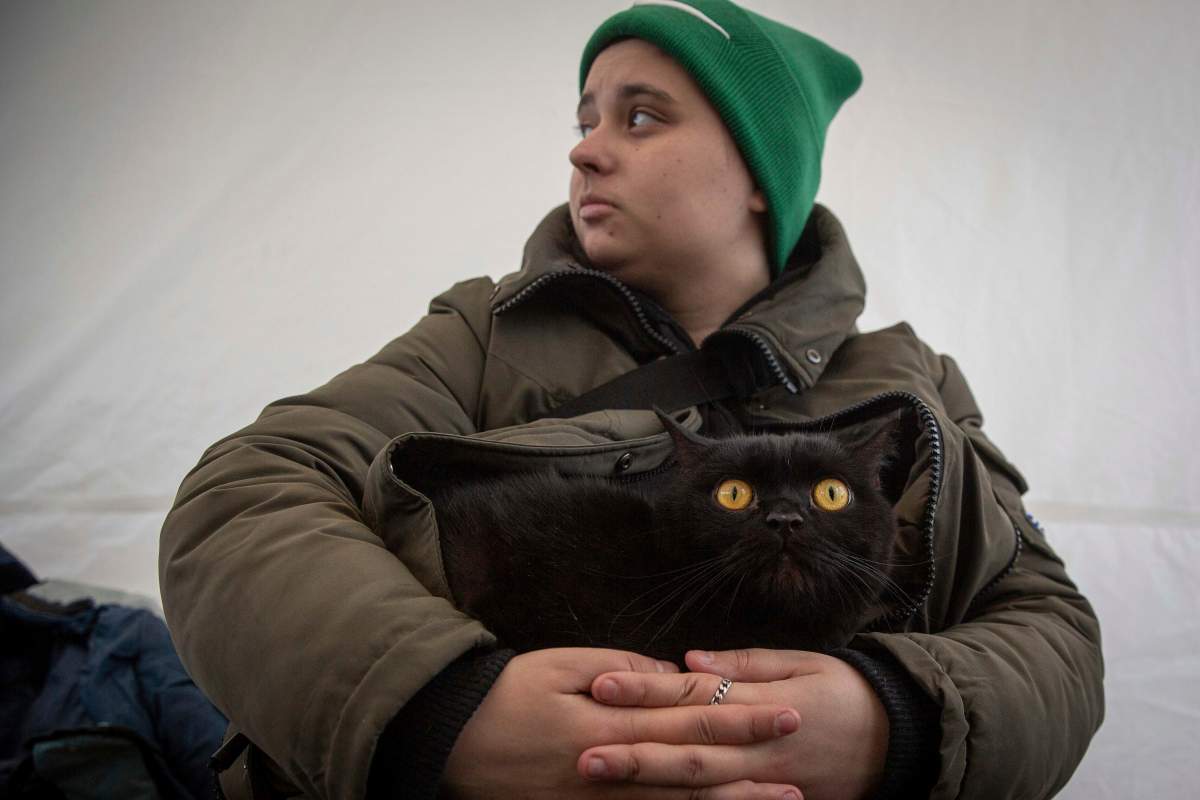 Natasha Ukrainec, holds her cat Bonja, after fleeing Kharkiv, Ukraine at the border crossing in Medyka, Poland, Poland, Tuesday, March 8, 2022.