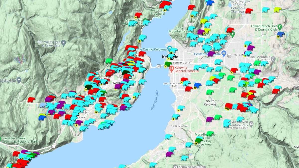 A graphic showing bear sightings in the Central Okanagan between January and November 2021.