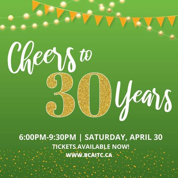 Cheers to 30 Years - image