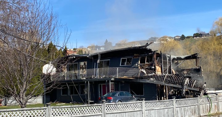 Dog alerts North Okanagan family to devastating early morning fire