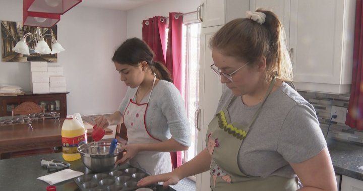 Cupcakes for Ukraine: Montreal duo bake up sweet idea for war-torn country