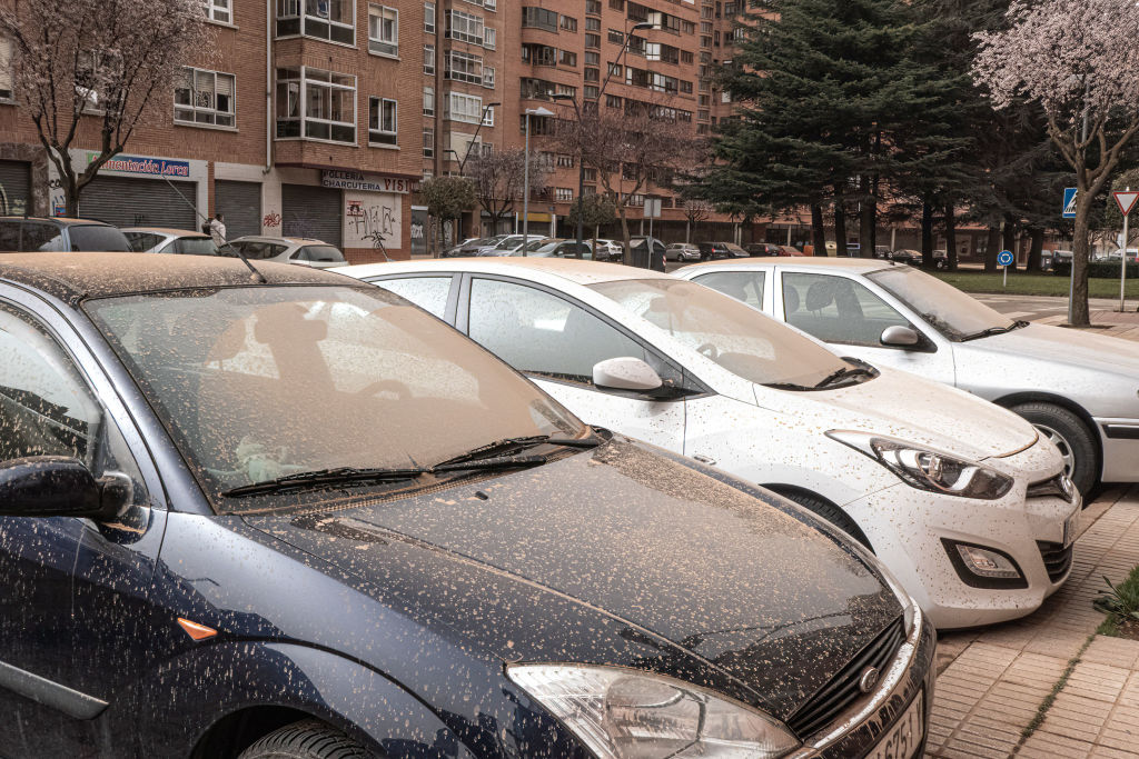 Cars covered with sand as Burgos, Spain wakes up