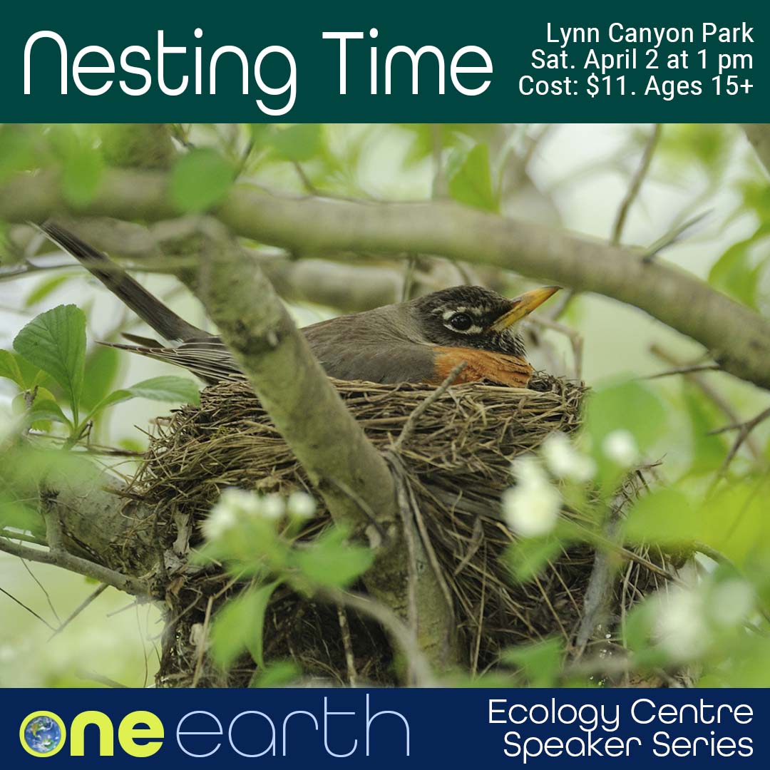 Nesting Time – One Earth Series - image
