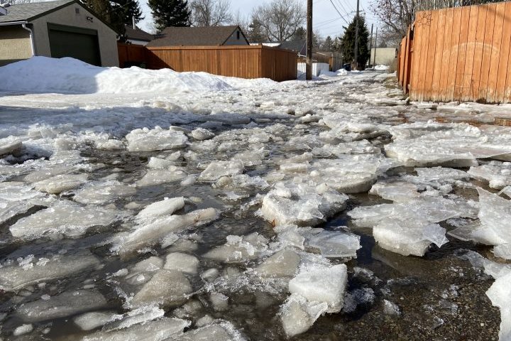 Spring melt, blocked drains cause havoc in Edmonton alleys