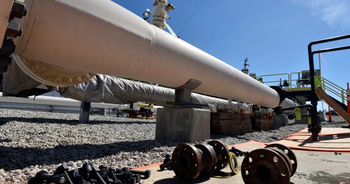 Line 5 pipeline needed amid Russian energy crackdown, Ottawa tells Michigan