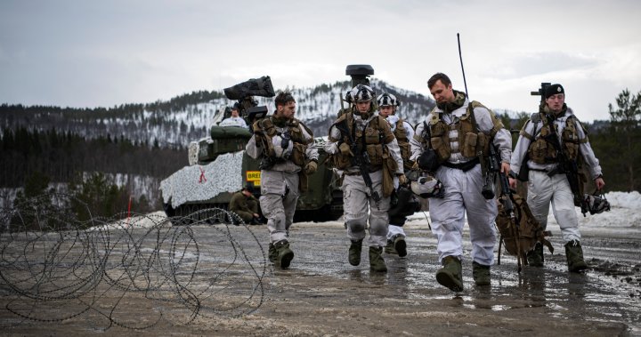 NATO would be ‘very reckless’ to send peacekeepers into Ukraine, Russia says