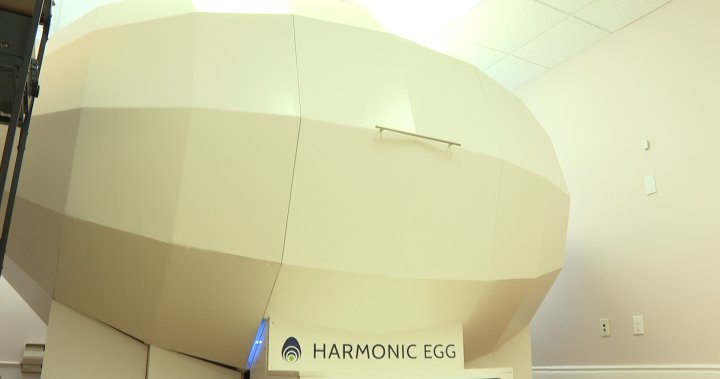Harmonic Egg Kingston opens its doors for holistic healing
