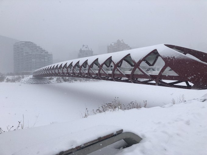 Calgary's Peace Bridge in winter