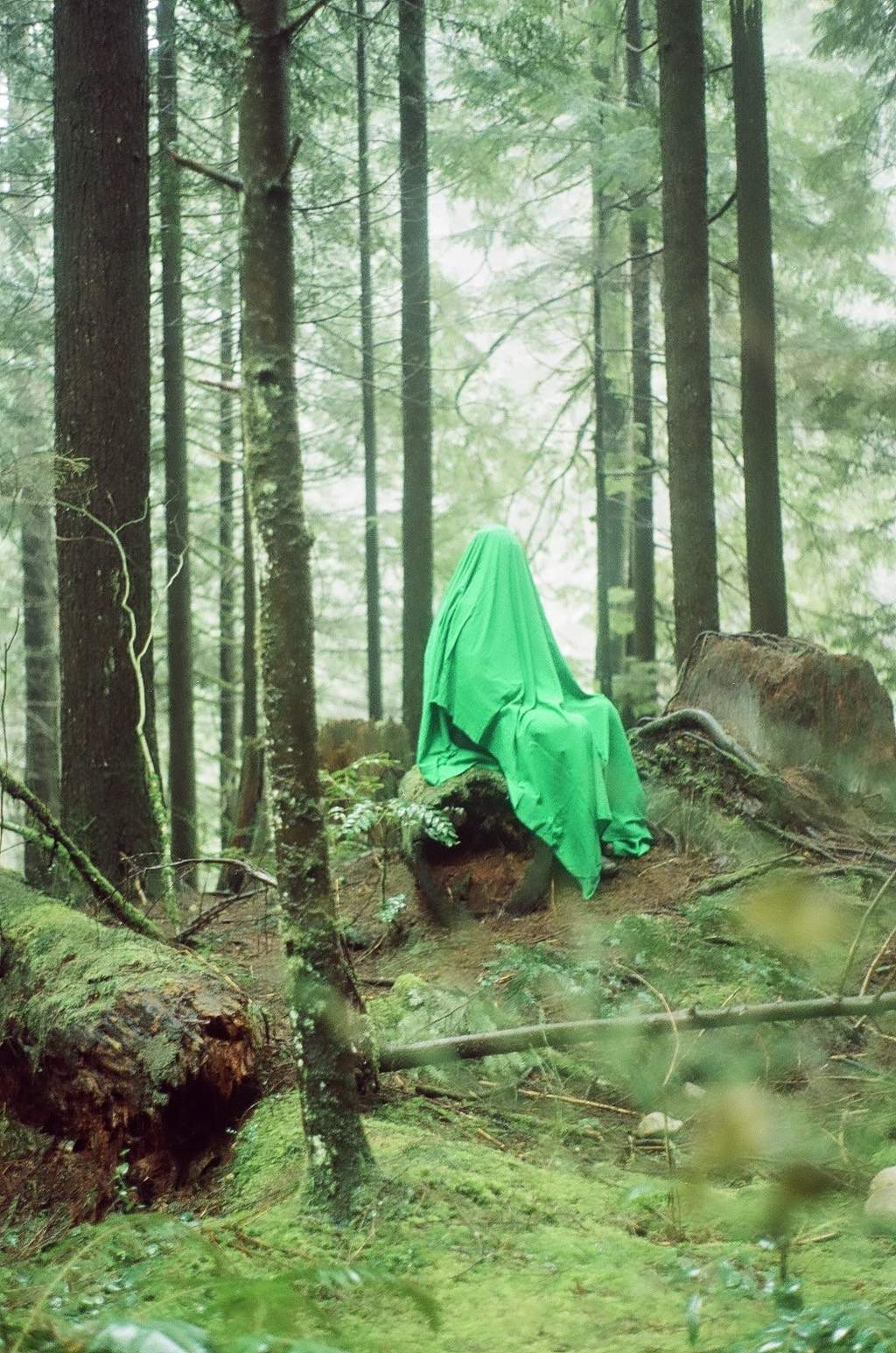 [green heart emoji], Sara Gulamali exhibition - image