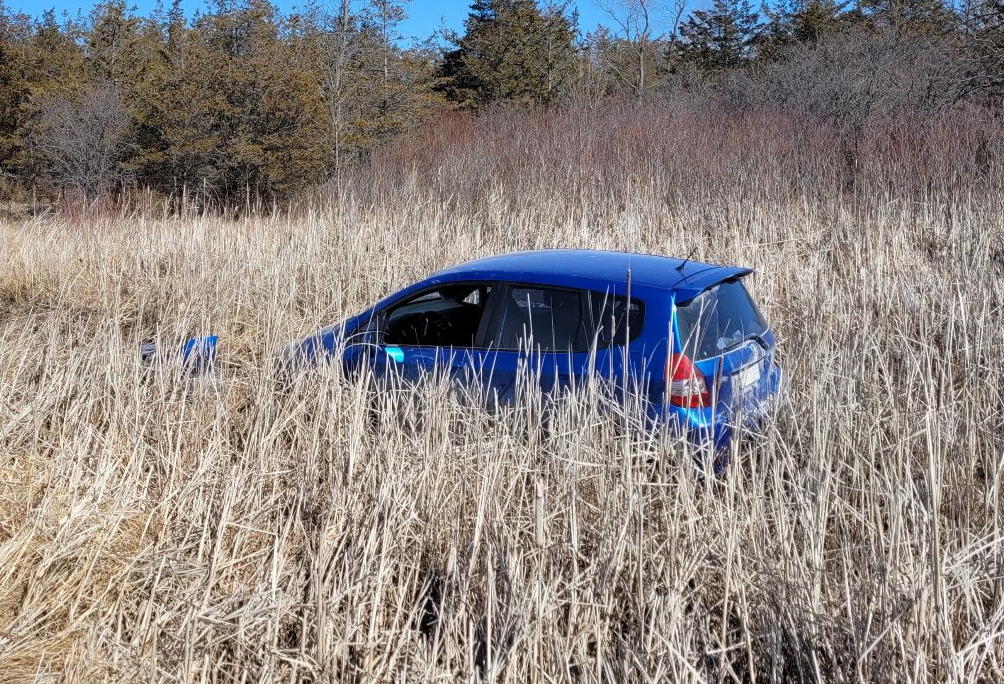 A driver is facing two counts of impaired driving after driving their car into a ditch in Prince Edward County.