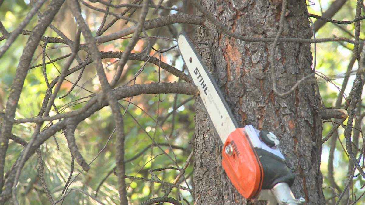 The RDCO says it has completed wildfire fuel reduction on hundreds of hectares in many regional parks, and the funding will continue that work.