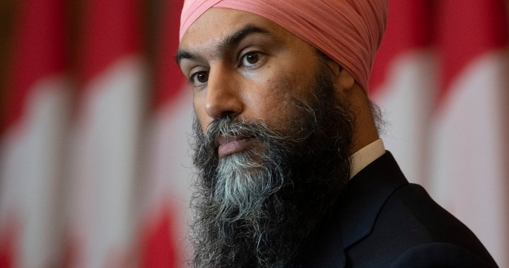 NATO’s military spending target ‘arbitrary,’ but some boosts warranted: Singh