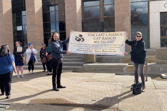 Community rallies with Last Chance Cat Ranch at appeal hearing on March 31.