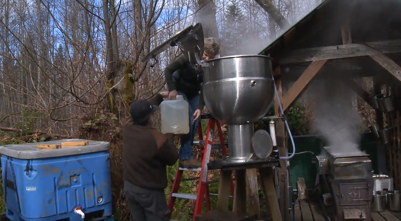 Sticky Side Hustle: B.C.’s Thriving Maple Syrup Industry | Globalnews.ca