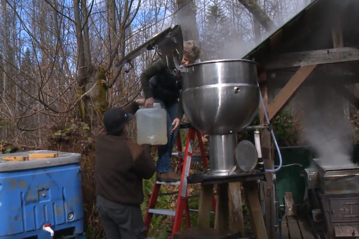 Sticky side hustle: B.C.’s thriving maple syrup industry