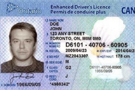 Ontario Driver's Licence. File photo.