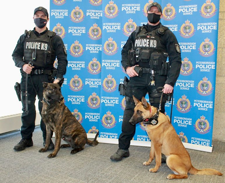 The Peterborough Police Service added two new police dogs with Gryphon, left, and Mag.