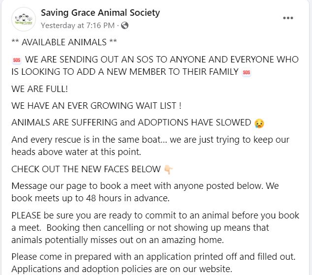 saving grace rescue