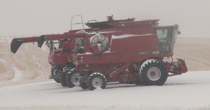 Southern Alberta snowfall ‘good news’ for farmers amid dry winter