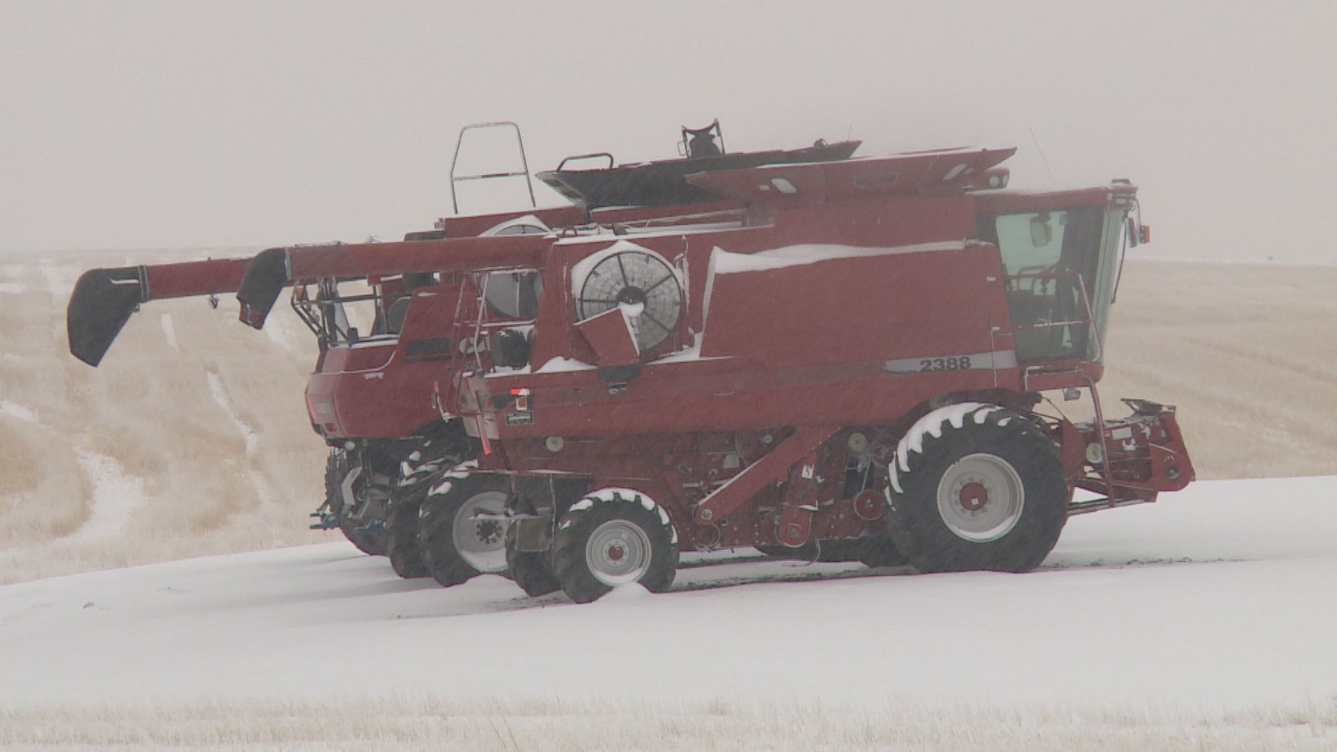 Alberta snowpack in ‘a great spot,’ says researcher