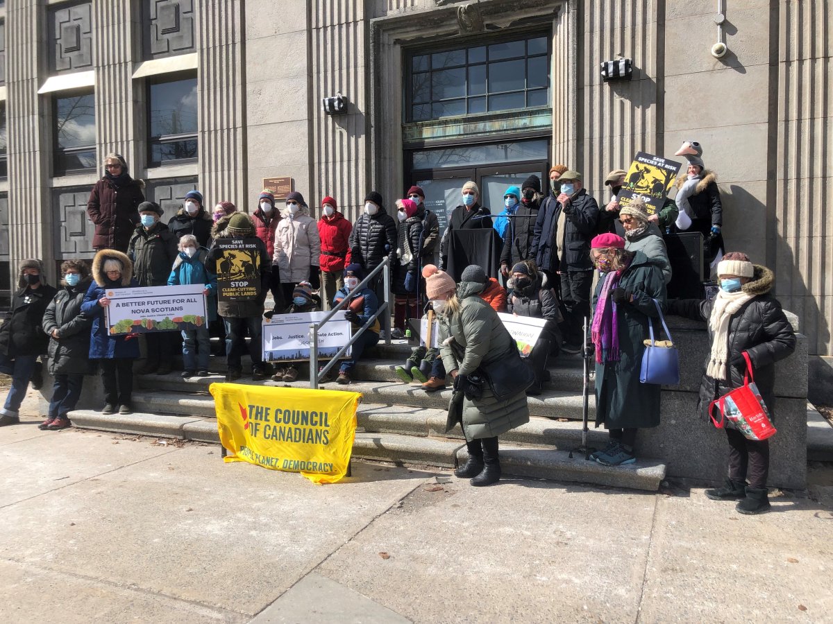 A few dozen individuals attended a rally in downtown Halifax Sunday to call on the federal government to introduce a Just Transition Act. .