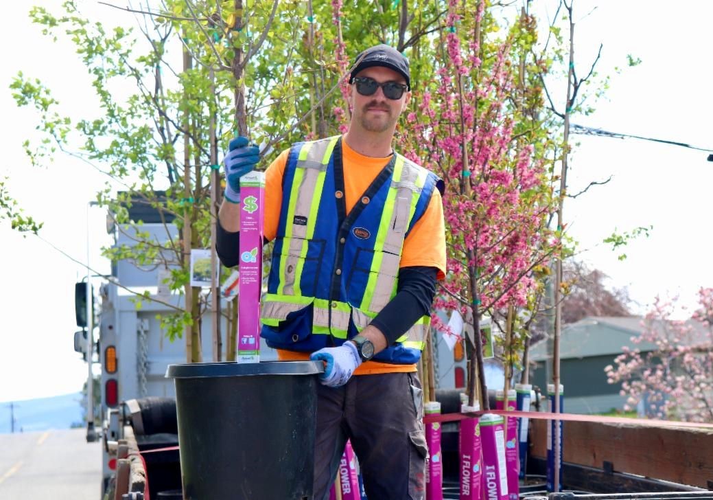 West Kelowna is offering trees at a discounted price to area residents. 