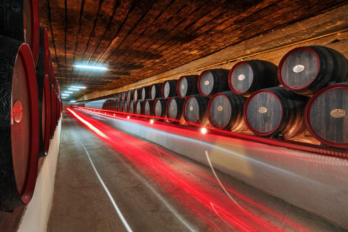 wine cellars Cricova