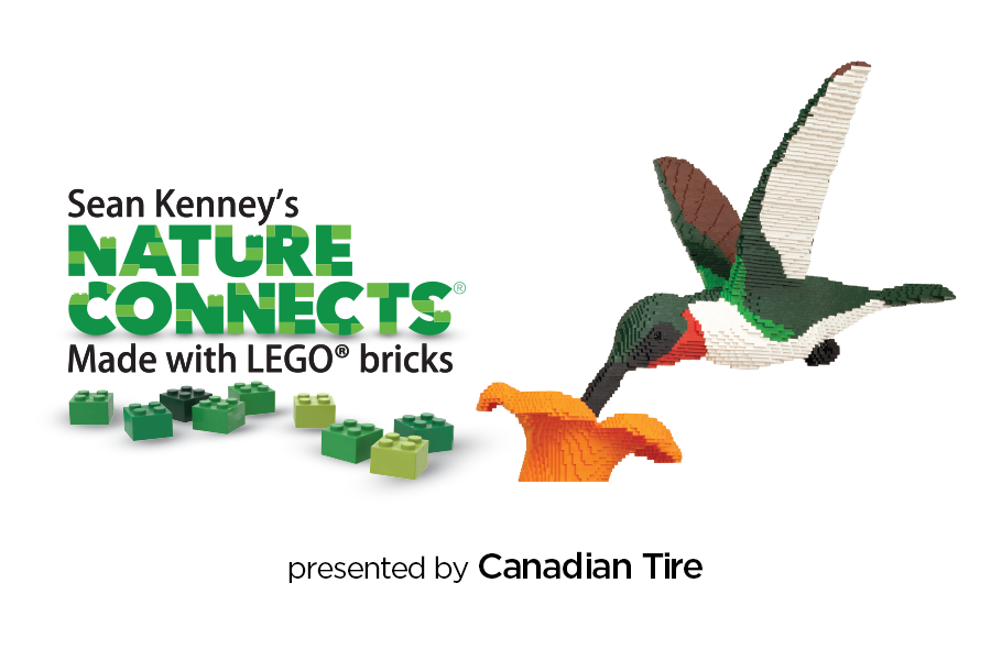 Global Edmonton supports: Sean Kenney’s Nature Connects presented by Canadian Tire - image