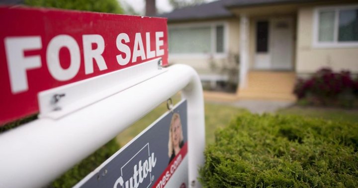 41 per cent of first-time homebuyers in B.C. borrow money from family: Report  | Globalnews.ca