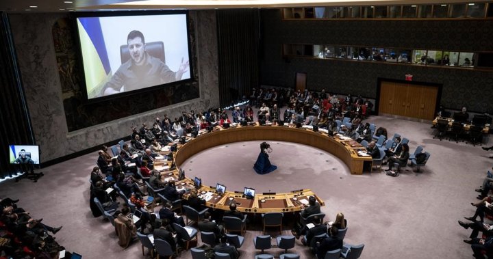 UN to allow Ukraine’s Zelenskyy to virtually address next week’s world leaders summit