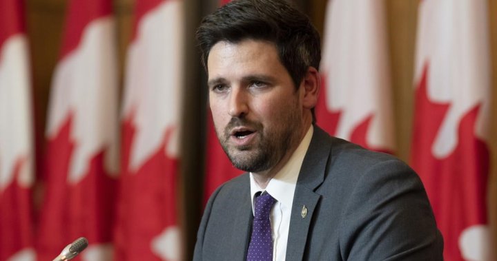 Immigration minister pressed on applications of 2,900 Afghans who helped Canada
